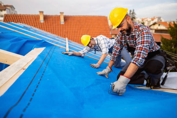 Best Residential Roofing Contractor  in Monticello, IL