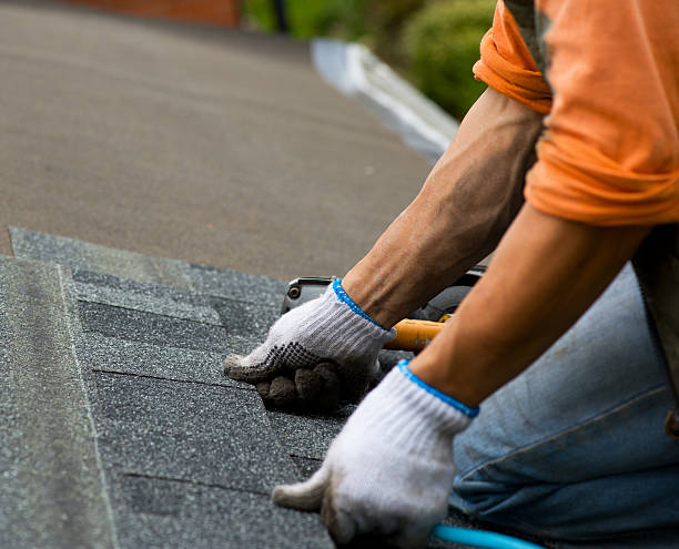 Best Gutter Installation and Roofing  in Monticello, IL