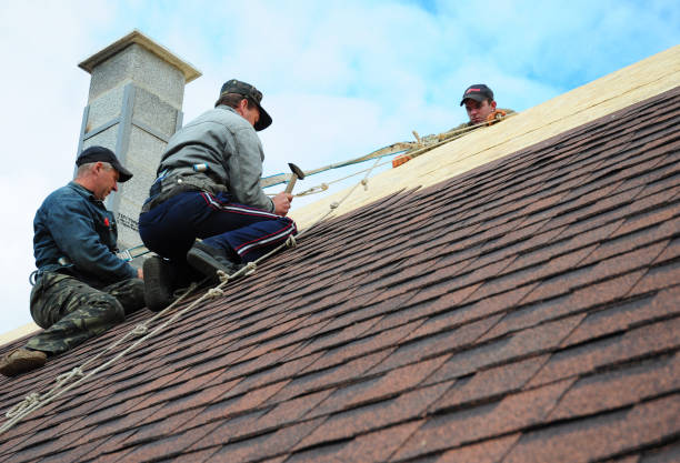 Best New Roof Installation  in Monticello, IL