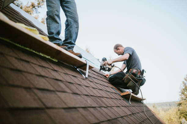 Best Roof Maintenance Services  in Monticello, IL
